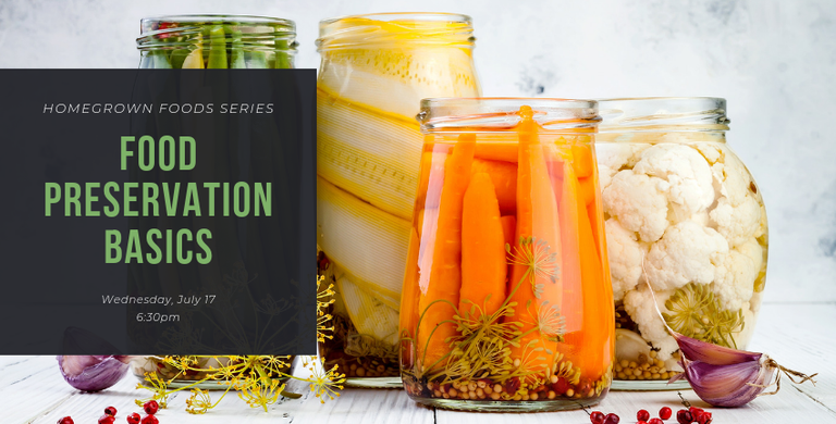 Food preservation basics