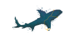 shark.png