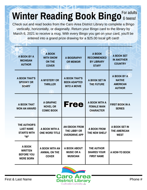 Winter Reading Book Bingo Teens Adults